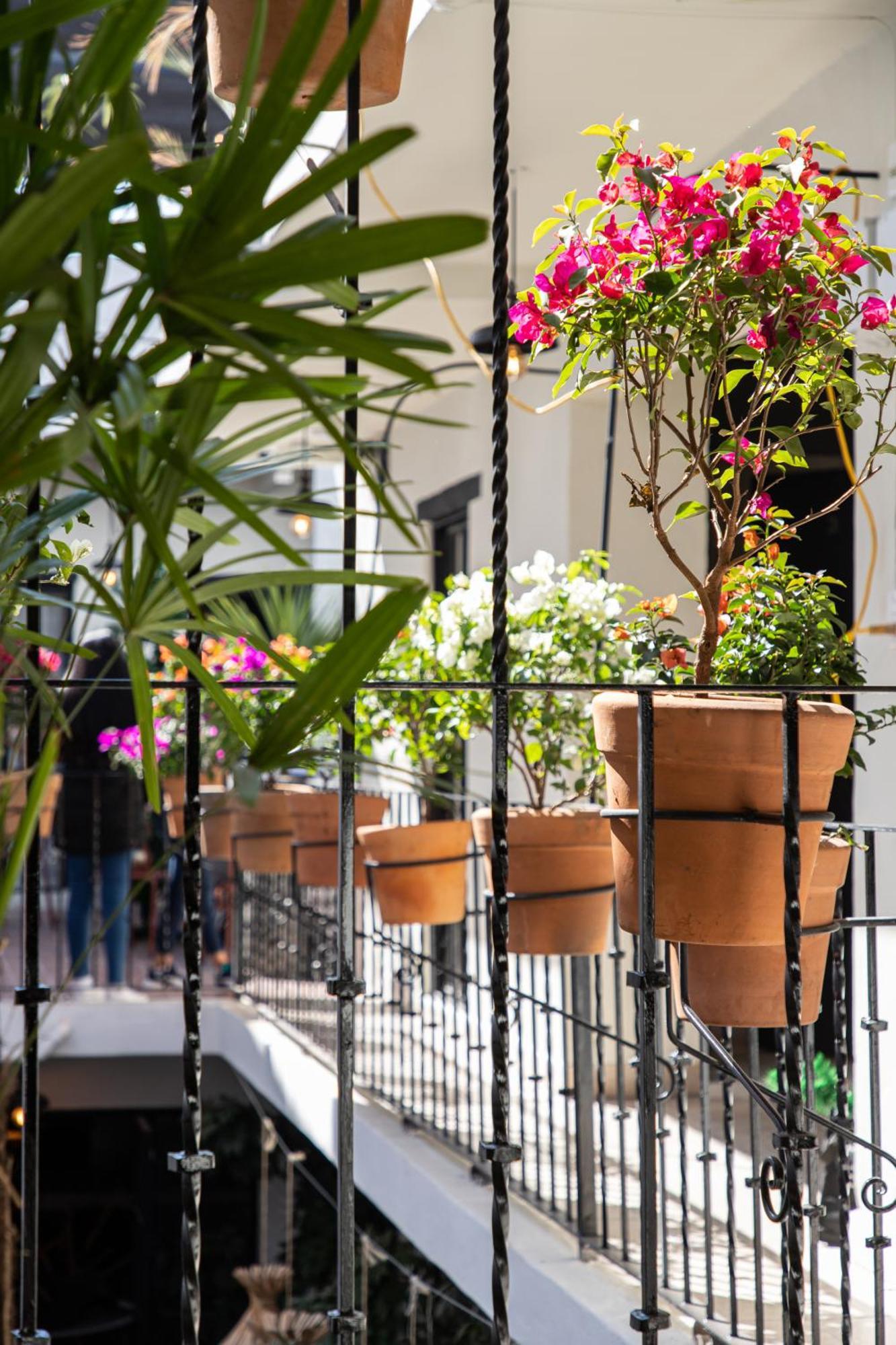Holt Hotel Del Pueblito San Miguel de Allende Dış mekan fotoğraf